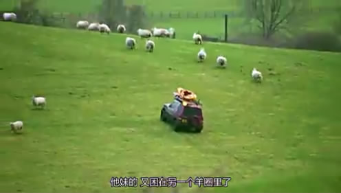 02�����ܳ�����SUV (174).JPG