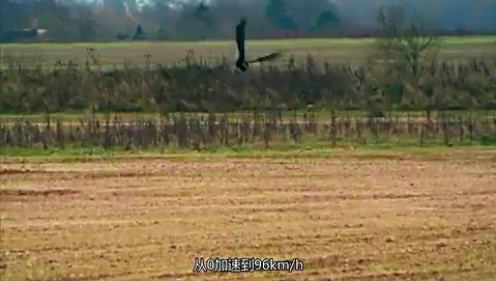 02�����ܳ�����SUV (74).JPG