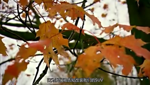 02�����ܳ�����SUV (101).JPG