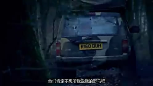 02�����ܳ�����SUV (197).JPG