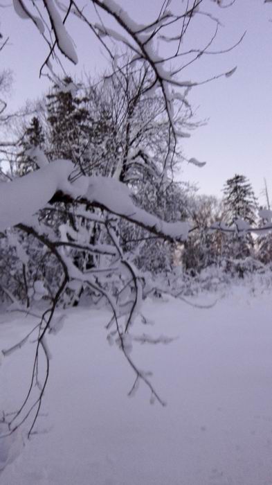 ������С IMG_20151208_063735.jpg