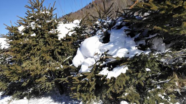 ������С IMG_20151207_113916.jpg