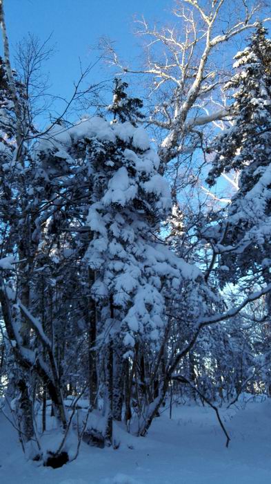 ������С IMG_20151208_074434.jpg