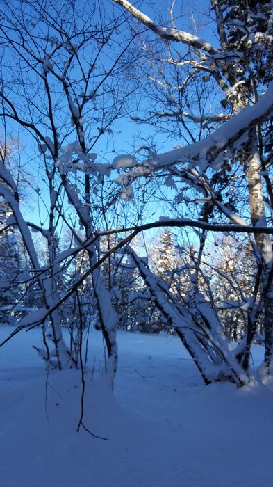 ������С IMG_20151208_075002.jpg