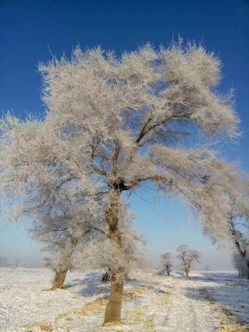 ������С mmexport1450609772049.jpg