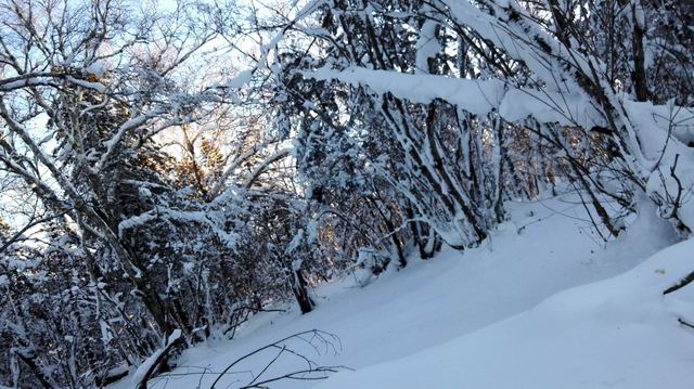 ������С IMG_20151208_072950.jpg