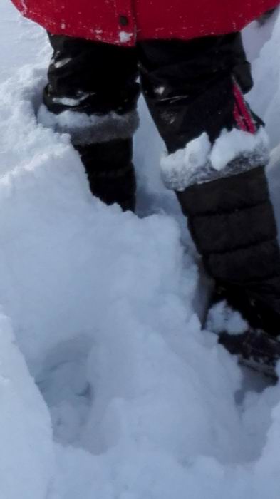 ������С IMG_20151208_070348.jpg