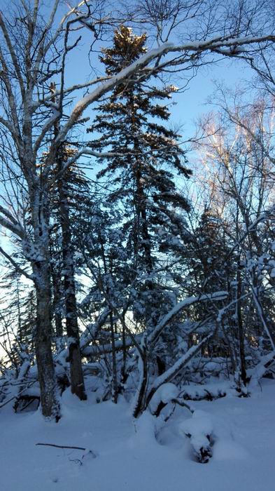 ������С IMG_20151208_072613.jpg