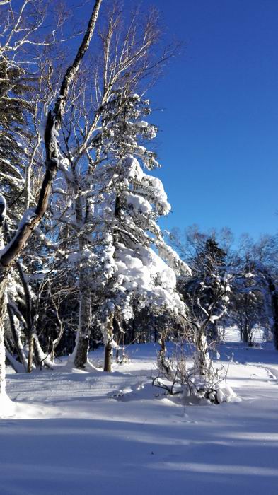 ������С IMG_20151208_082618.jpg