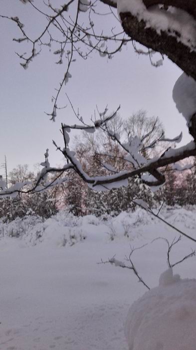 ������С IMG_20151208_063745.jpg