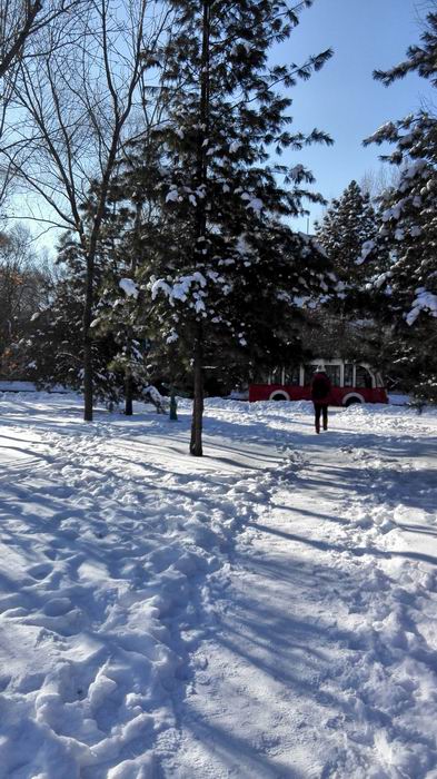 ������С IMG_20151206_110802.jpg