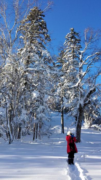 ������С IMG_20151208_082804.jpg