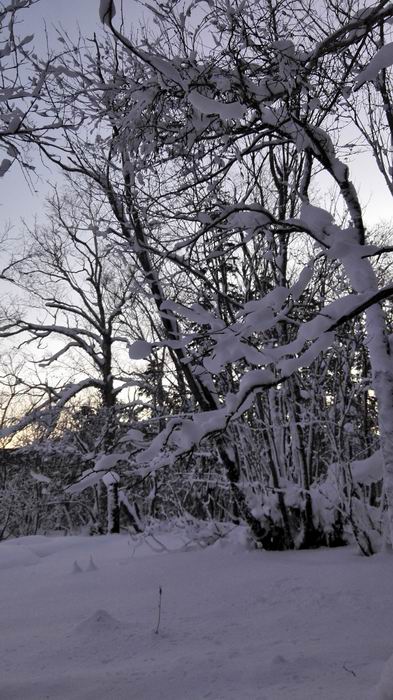 ������С IMG_20151208_064311.jpg