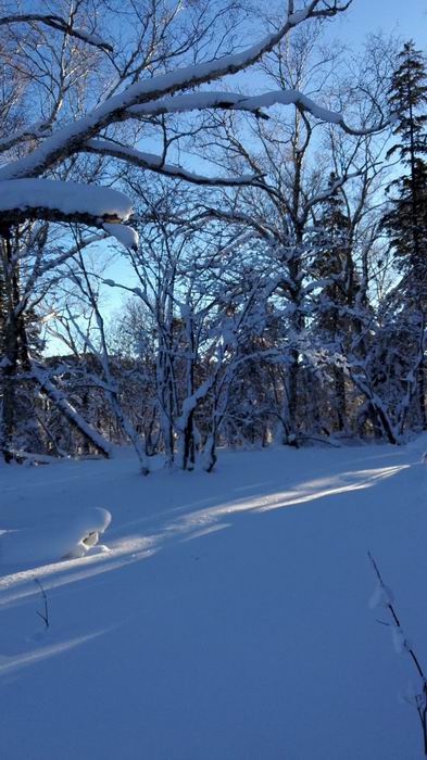 ������С IMG_20151208_075357.jpg