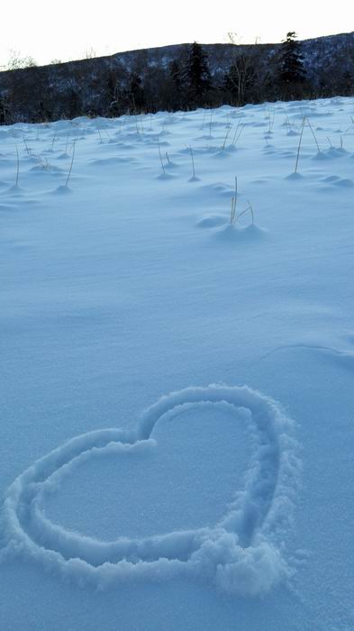 ������С IMG_20151208_071700.jpg