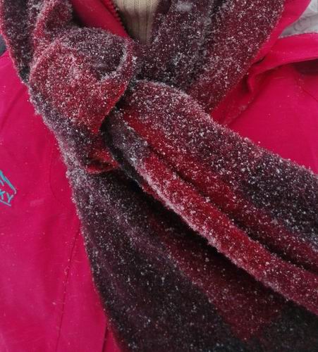 ������С mmexport1449725901203.jpg