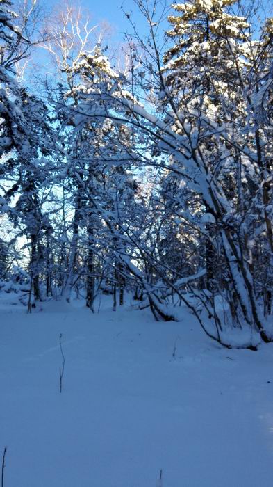 ������С IMG_20151208_074425.jpg