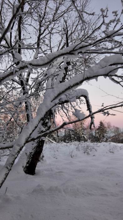 ������С IMG_20151208_064332.jpg