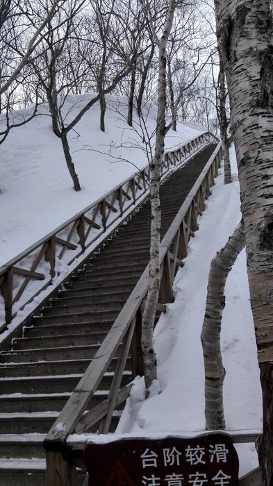 ������С IMG_20151210_103106.jpg