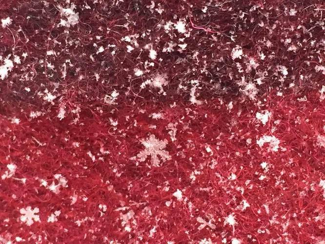 ������С mmexport1449725783324.jpg