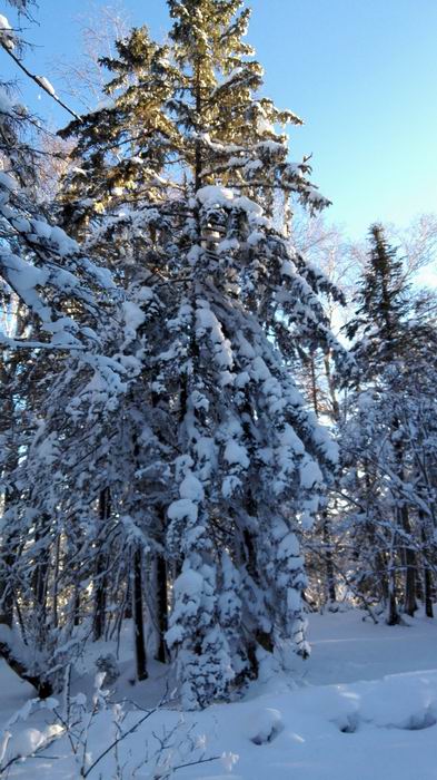 ������С IMG_20151208_074449.jpg