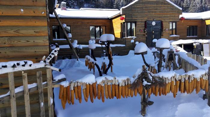 ������С IMG_20151208_123146.jpg