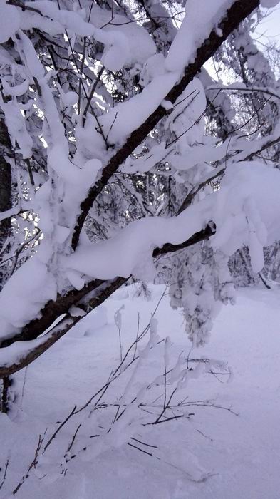 ������С IMG_20151208_063755.jpg