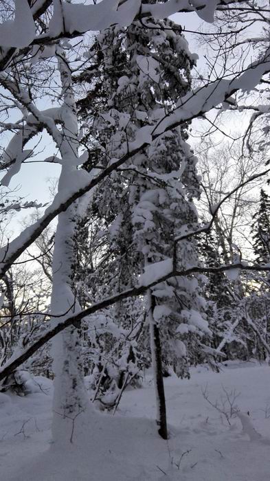 ������С IMG_20151208_065003.jpg