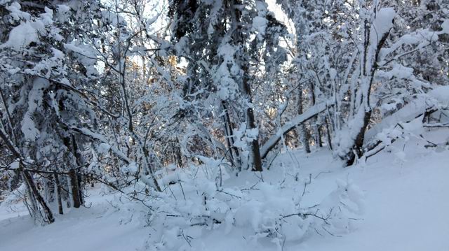 ������С IMG_20151208_073732.jpg