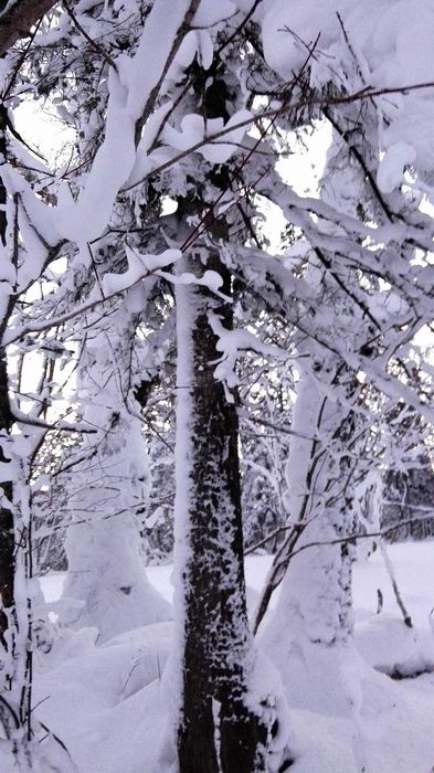 ������С IMG_20151208_063812.jpg