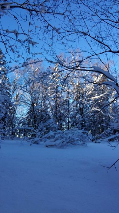 ������С IMG_20151208_075005.jpg