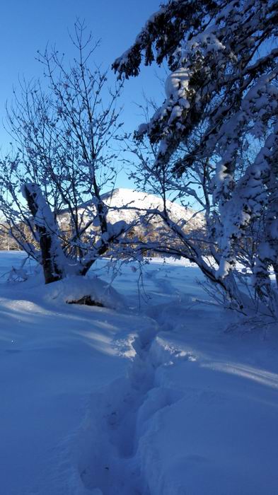 ������С IMG_20151208_075349.jpg