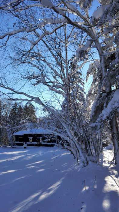 ������С IMG_20151208_082626.jpg