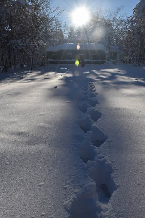 ������С DSC_0964.JPG