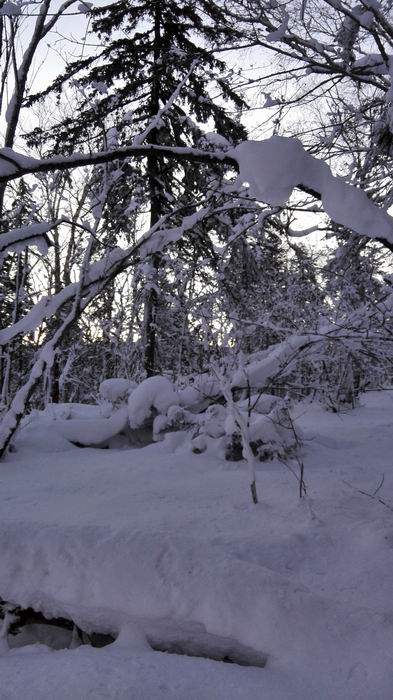 ������С IMG_20151208_064316.jpg