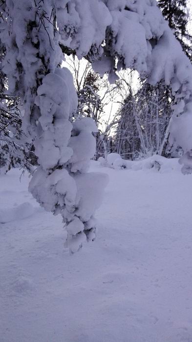 ������С IMG_20151208_063831.jpg