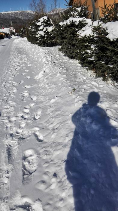 ������С IMG_20151207_114104.jpg