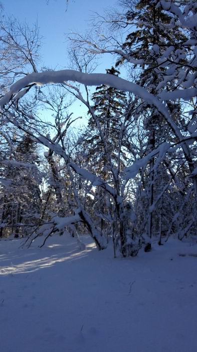 ������С IMG_20151208_074957.jpg