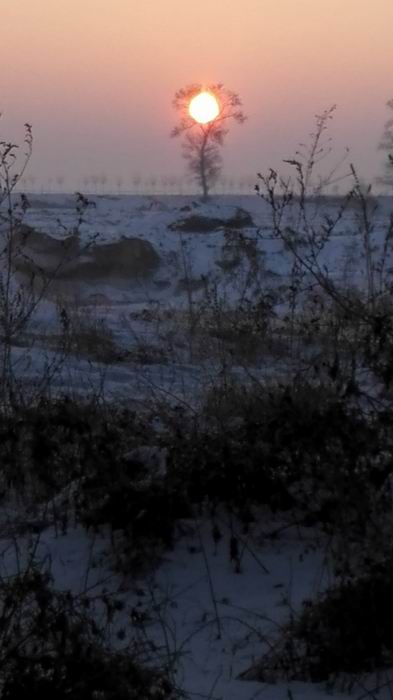 ������С IMG_20151211_071944.jpg