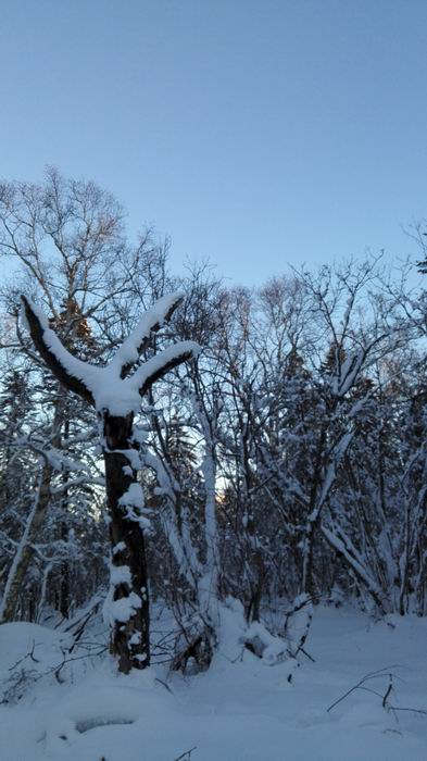 ������С IMG_20151208_072539.jpg