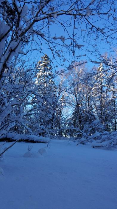 ������С IMG_20151208_075006.jpg