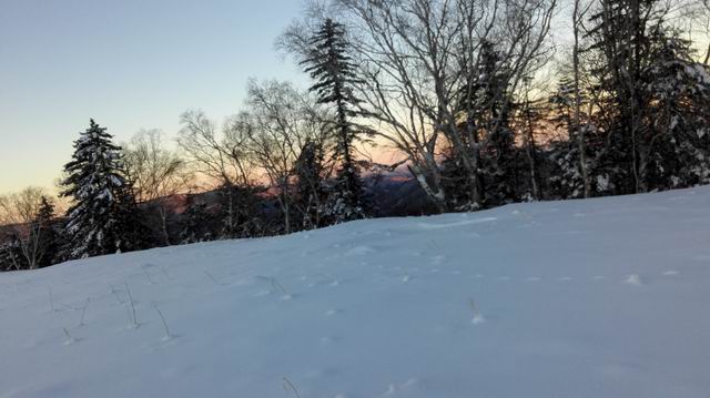 ������С IMG_20151208_070617.jpg