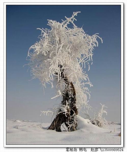 ������С mmexport1449797302720.jpg