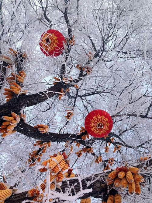 ������С mmexport1449797325532.jpg