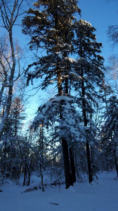 ������С IMG_20151208_072848.jpg