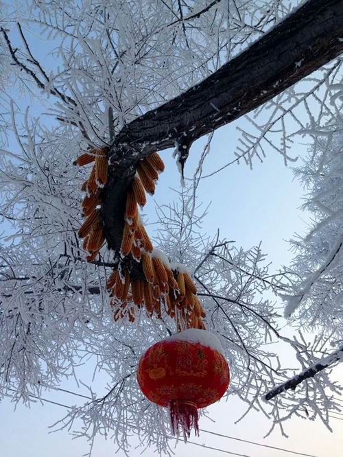 ������С mmexport1449797321235.jpg