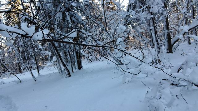 ������С IMG_20151208_073744.jpg