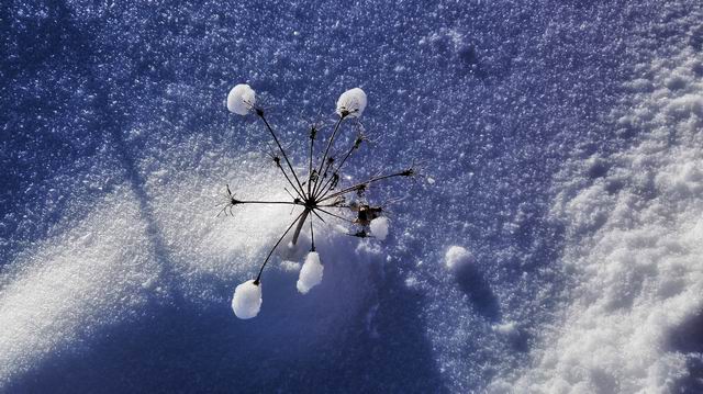 ������С IMG_20151208_080435.jpg