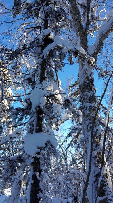 ������С IMG_20151208_074946.jpg