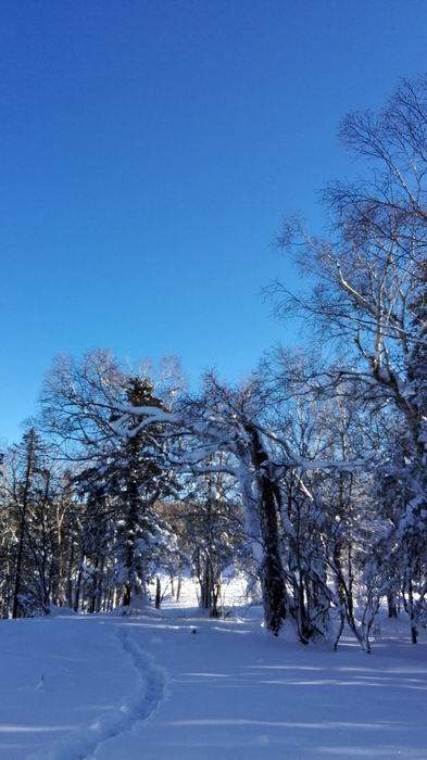 ������С IMG_20151208_082741.jpg